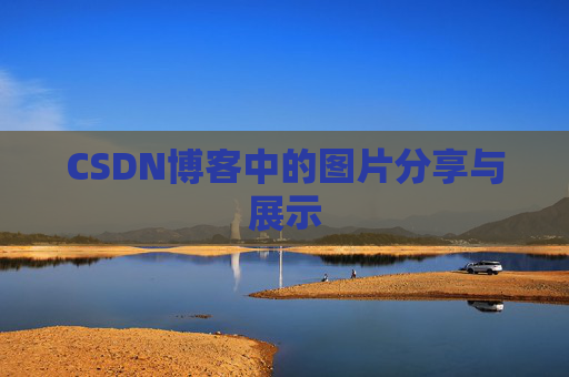 CSDN博客中的图片分享与展示